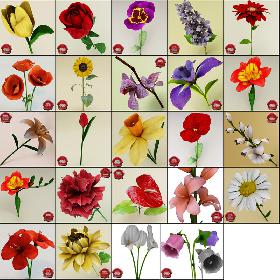 Flowers Collection V3